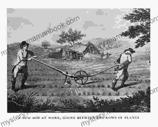 A Photograph Of A 17th Century New England Farm, With Farmers Using Hand Tools To Cultivate The Land. Tales Of Survival In Colonial New England (Colonial Life 2)