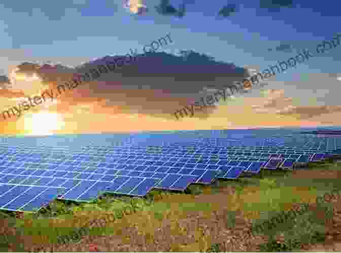 Titus Hauer, The Sunfluencer, Standing In A Field Of Solar Panels Sunfluencer Titus Hauer